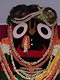 Rathayatra Jagannatha