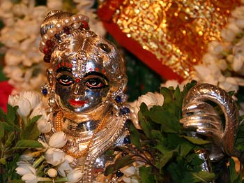 Kaliya Mardana Krsna Closeup