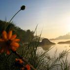 Sunrise at Kaveri