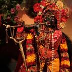 Gaura Purnima - Photo 862