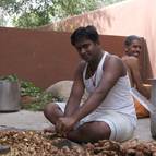 Janmastami 2009, Govindaji Gardens