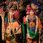 Radha-Madhava on Gopastami Day