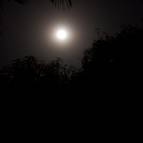 The Full Moon of Sri Gaura Purnima