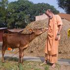 Visnu Maharaja Feeding Laddus to Laksmi