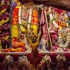 Bathing Mahaprabhu with a Sahasradhara