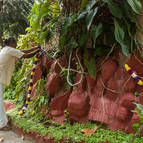 Decorating Govardhana Hill