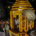 Jagannatha & Gaura-gadhara's Installation Anniversary - Photo 