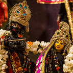 Sri Sri Radha-Vrndavanacandra