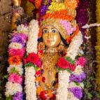 Gaura Purnima 2017 - Photo 