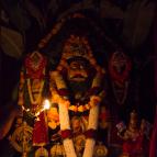 Narasimha Caturdasi 2017 - Photo 