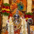 Sri Krsna Janmastami 2017 - Photo 