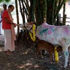 Govardhan Puja 2022 - Photo 