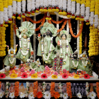 Gaura Purnima 2024 - Photo 