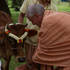 Srila Guru Maharaja feeding Ekadasi